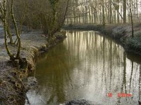 Bords du Thouet